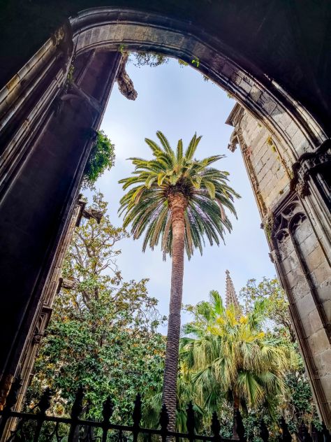 Barcelona - Patio de los Cisnes