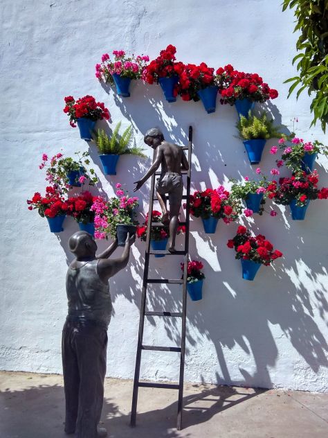Córdoba - flores