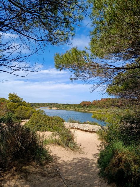Parque Natural de la Albufera
